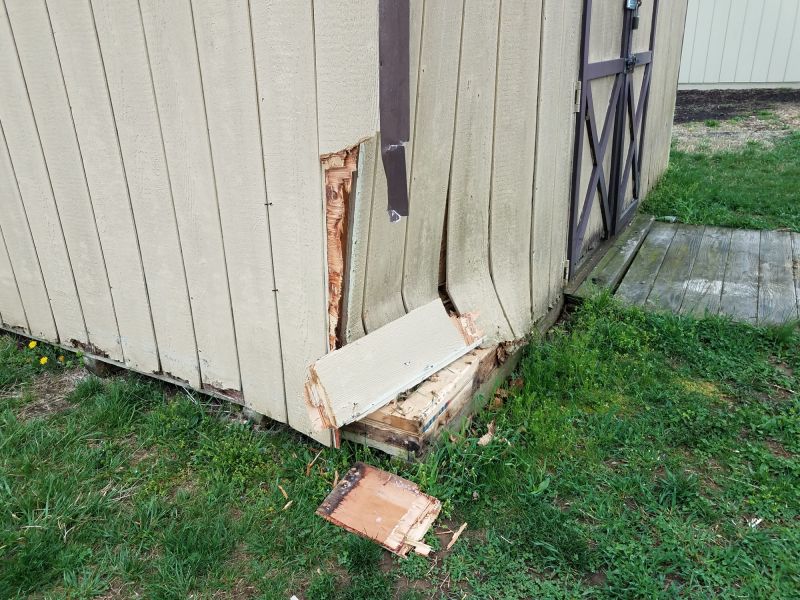 Shed Roof Repair