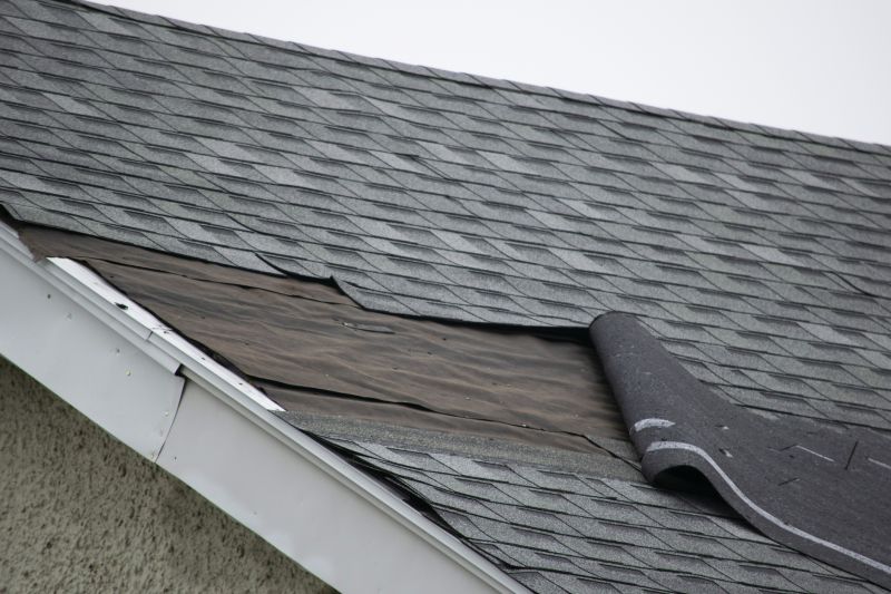 Shed Roof Repair Cost — Cost of Shed Roof Repair