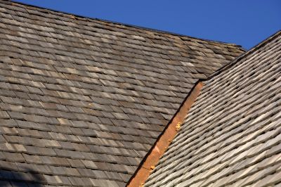 Summer Shed Roof Repair