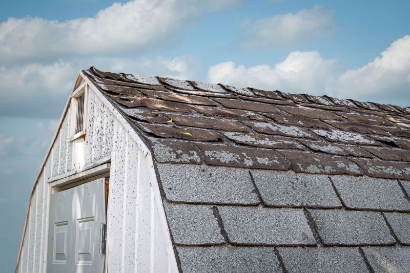 Damaged Shingles Repair